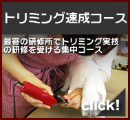 �g���~���O�����R�[�X