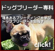 �g�b�v�u���[�_�[���