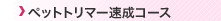 �g���~���O�����R�[�X
