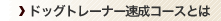 �h�b�O�g���[�i�[�����R�[�X�Ƃ�