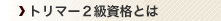�g���}�[�Q�����i�Ƃ�