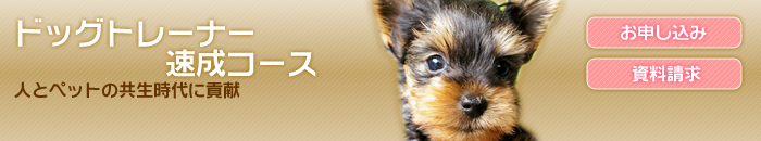 �h�b�O�g���[�i�[�����R�[�X