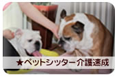 �h�b�O�V�b�^�[